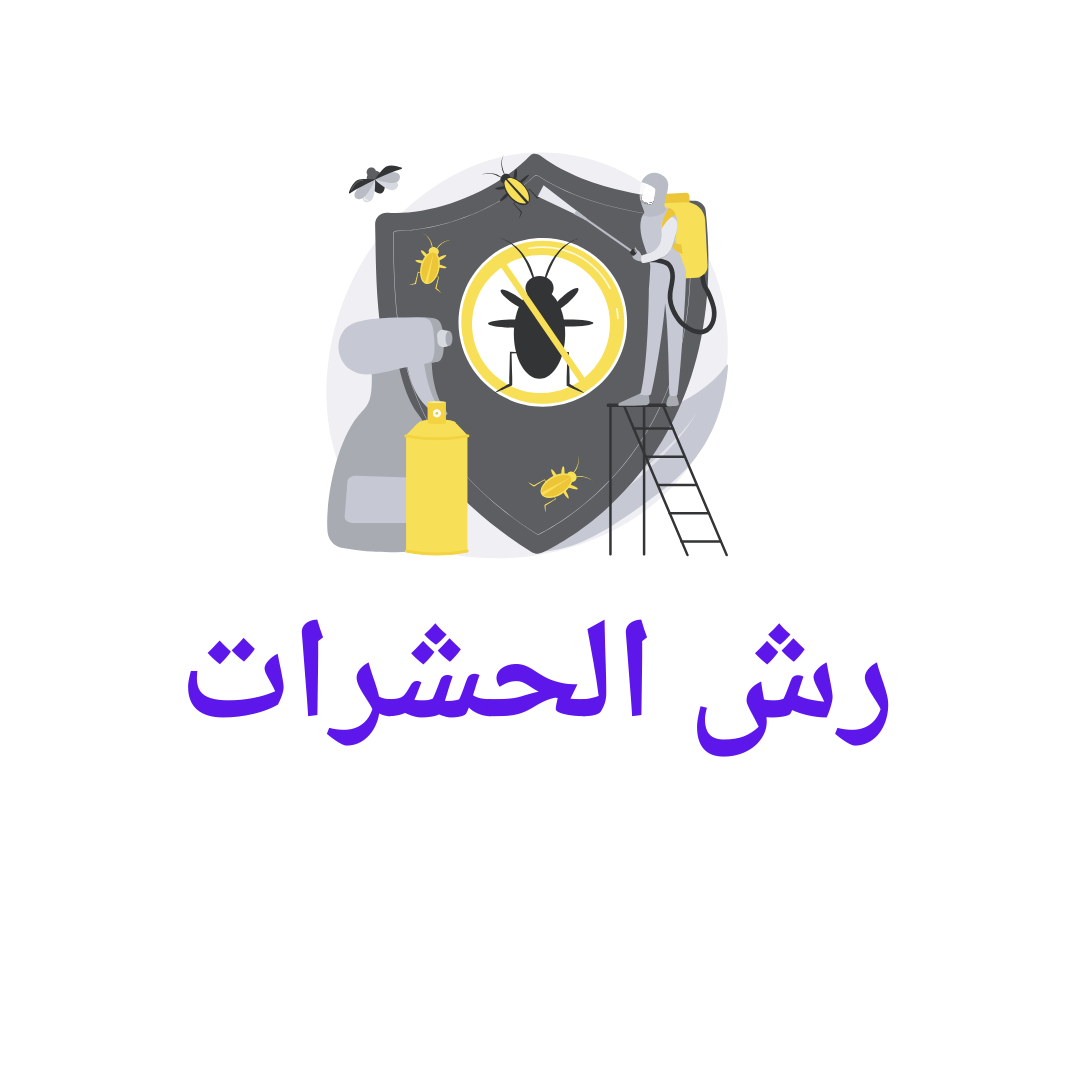  رش حشرات